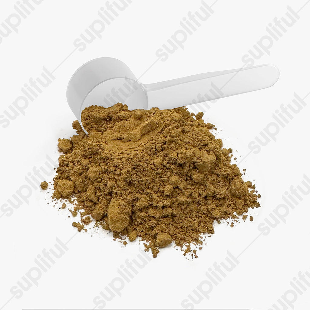 Mushroom Fuse Instant Coffee (Medium Roast) - MIGHTY COFFEE