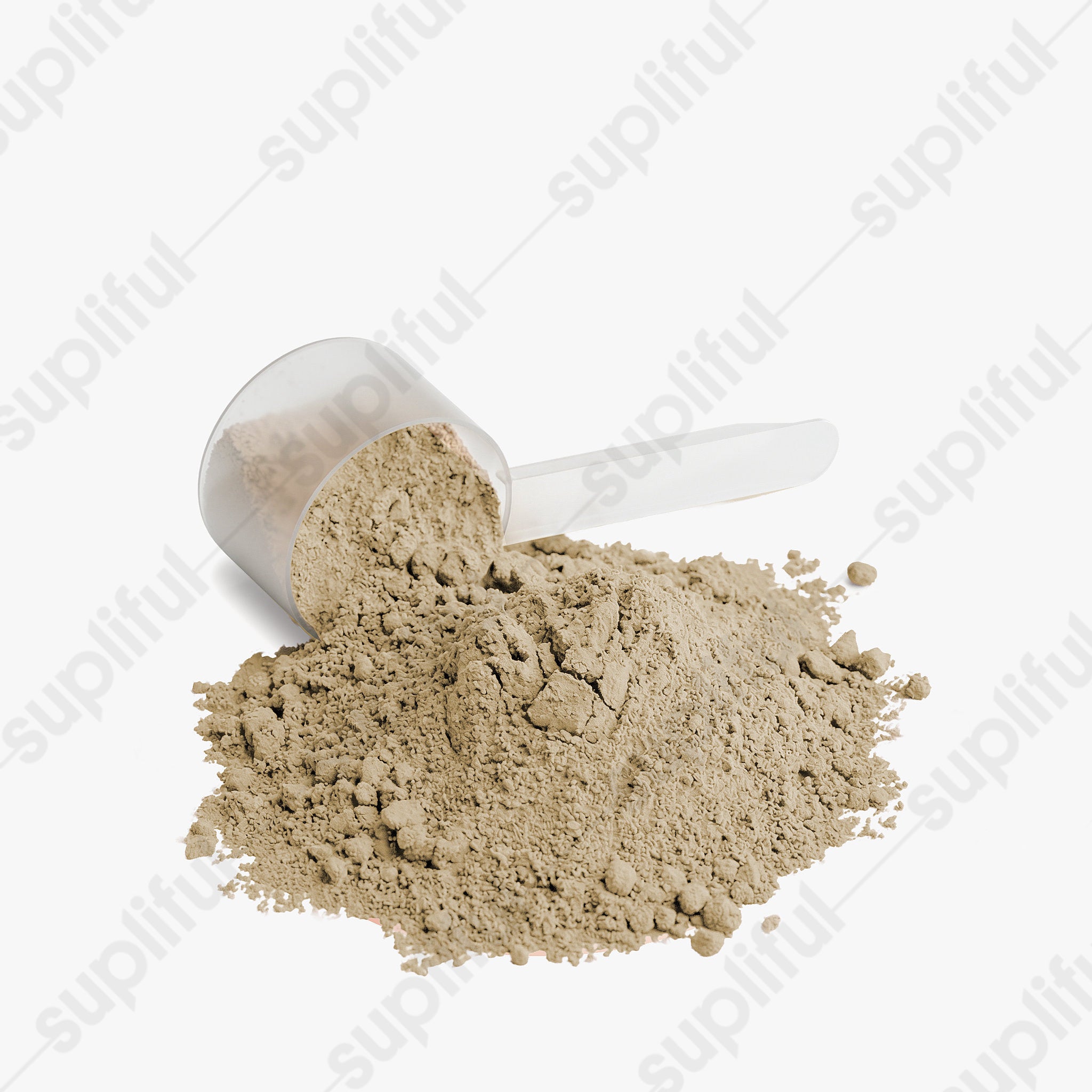 100% Whey Protein Isolate (Vanilla)