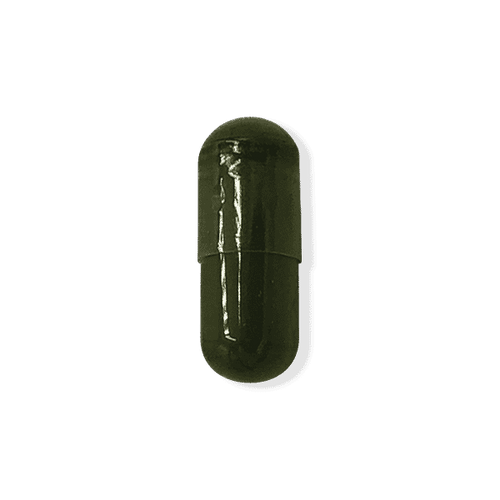 Chlorella